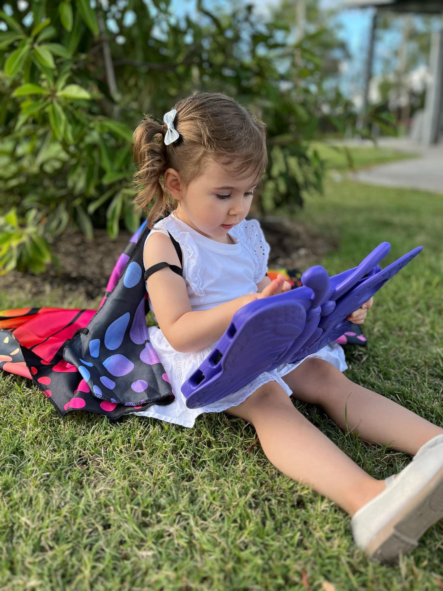 Butterfly iPad Case